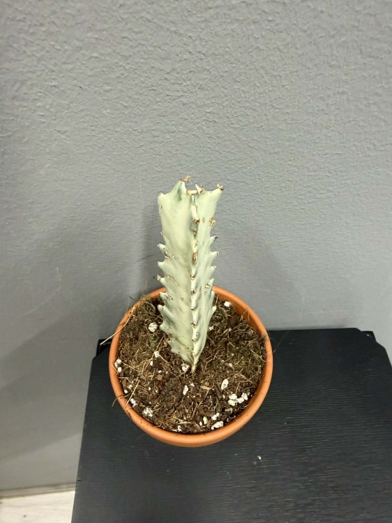 07973848-a665-49d3-a6f4-6c14e9cea199.jpg