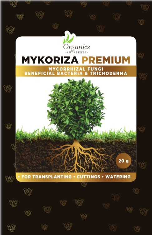 mykoryza.jpg