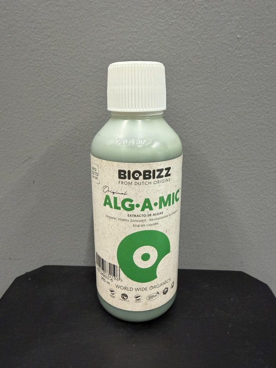 ee7e5e96-16d9-4bac-853f-5b8d295d4a26.jpg