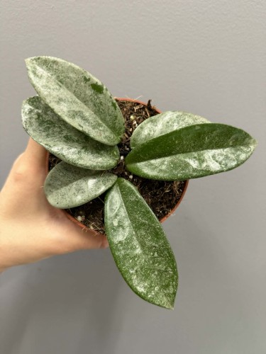 9213f0e2-ac1c-401e-acb9-bb869ffeed88.jpg