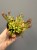 IMG_5616.JPG