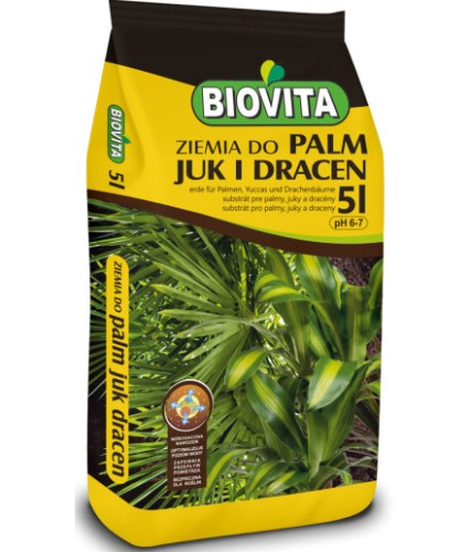 ziemia-do-palm-juk-i-dracen.jpeg