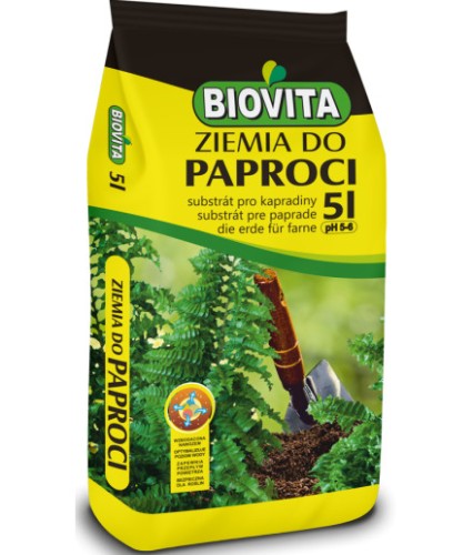 ziemia-do-paproci.jpeg