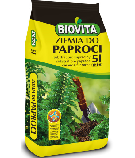 ziemia-do-paproci.jpeg