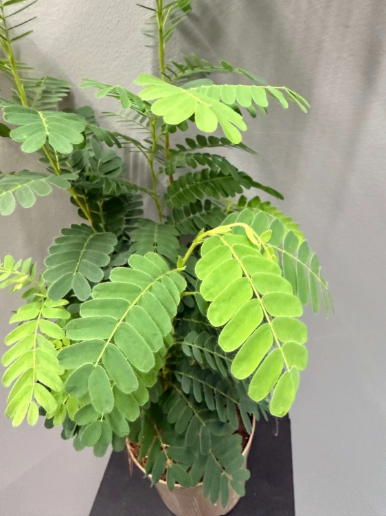 IMG_9822.JPG