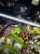 IMG_0561.jpeg