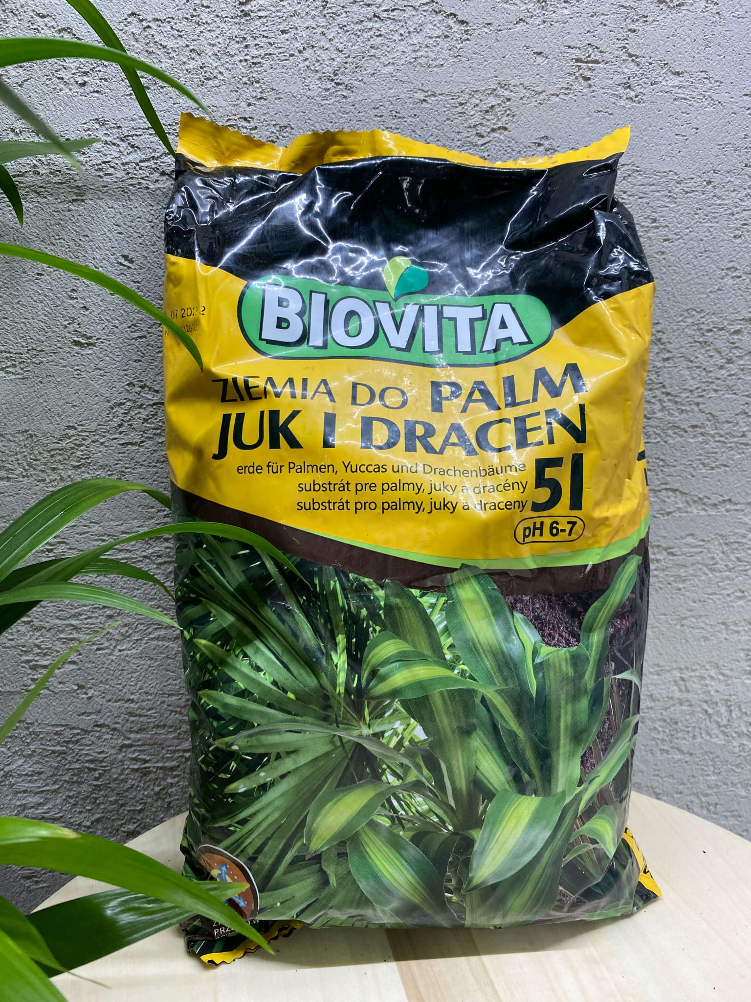 Ziemia do Palm, Juk, Dracen - 5l